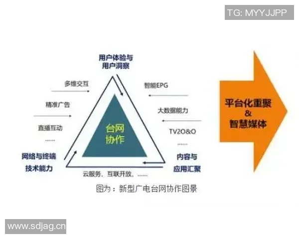 深圳排球队团队协作的独特优势与其他球队的深度对比分析