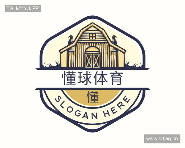 关于懂球体育